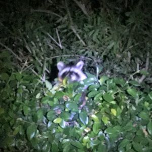 Meet your Posher, Ciaranciaran